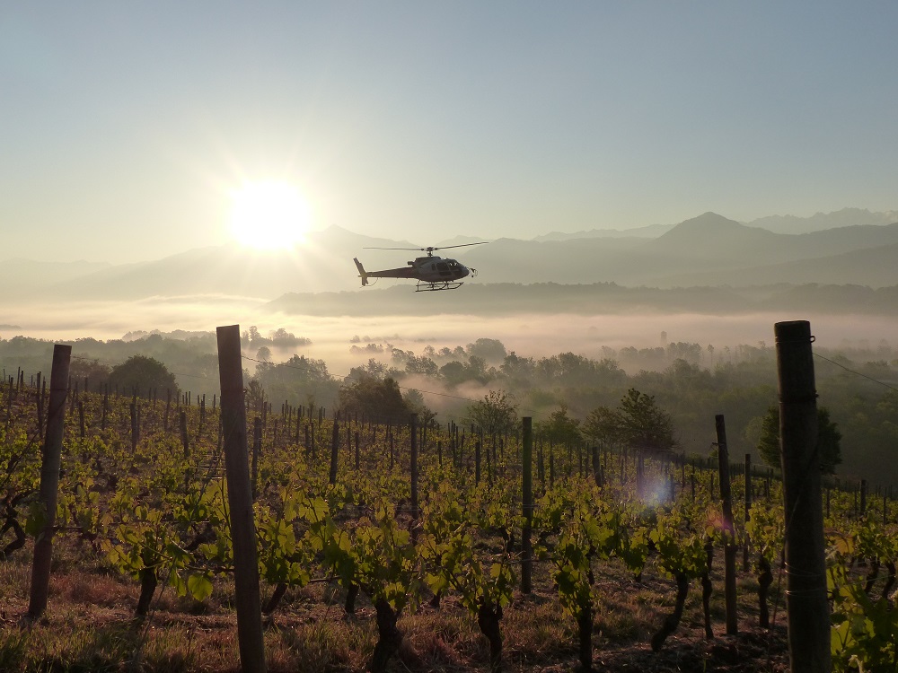 Esprit collectif chez les vignerons en Combe de Savoie !