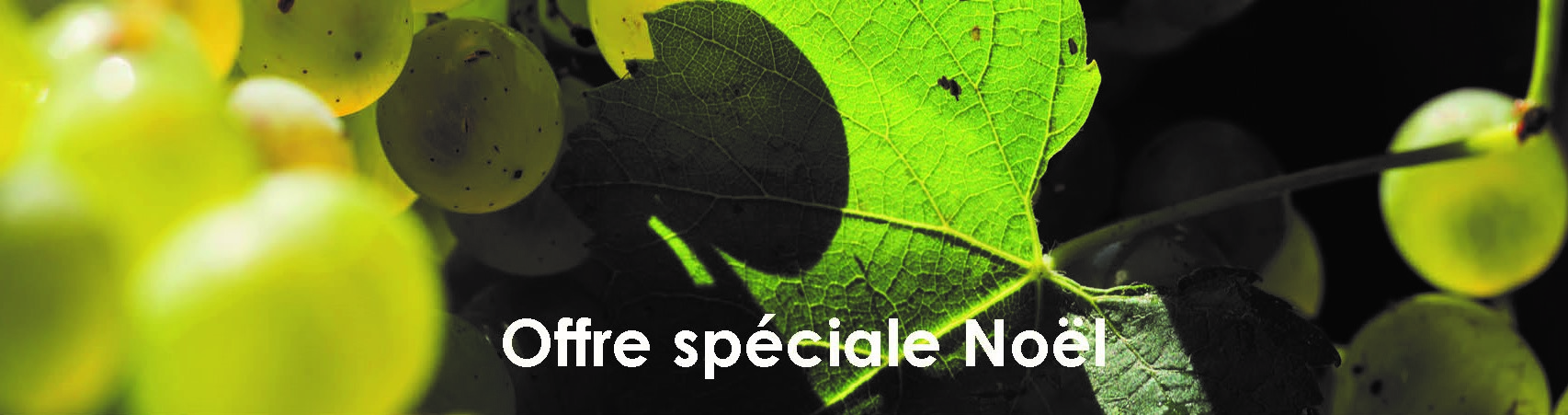 Nos vins vous accompagnent tout au long de ces fêtes de fin d’année