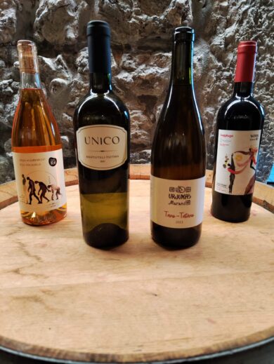 Quand la Savoie accueille la Géorgie